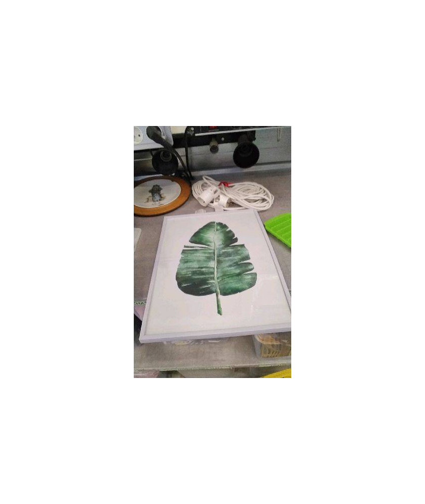 CADRE FEUILLES 