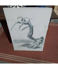 TOILE