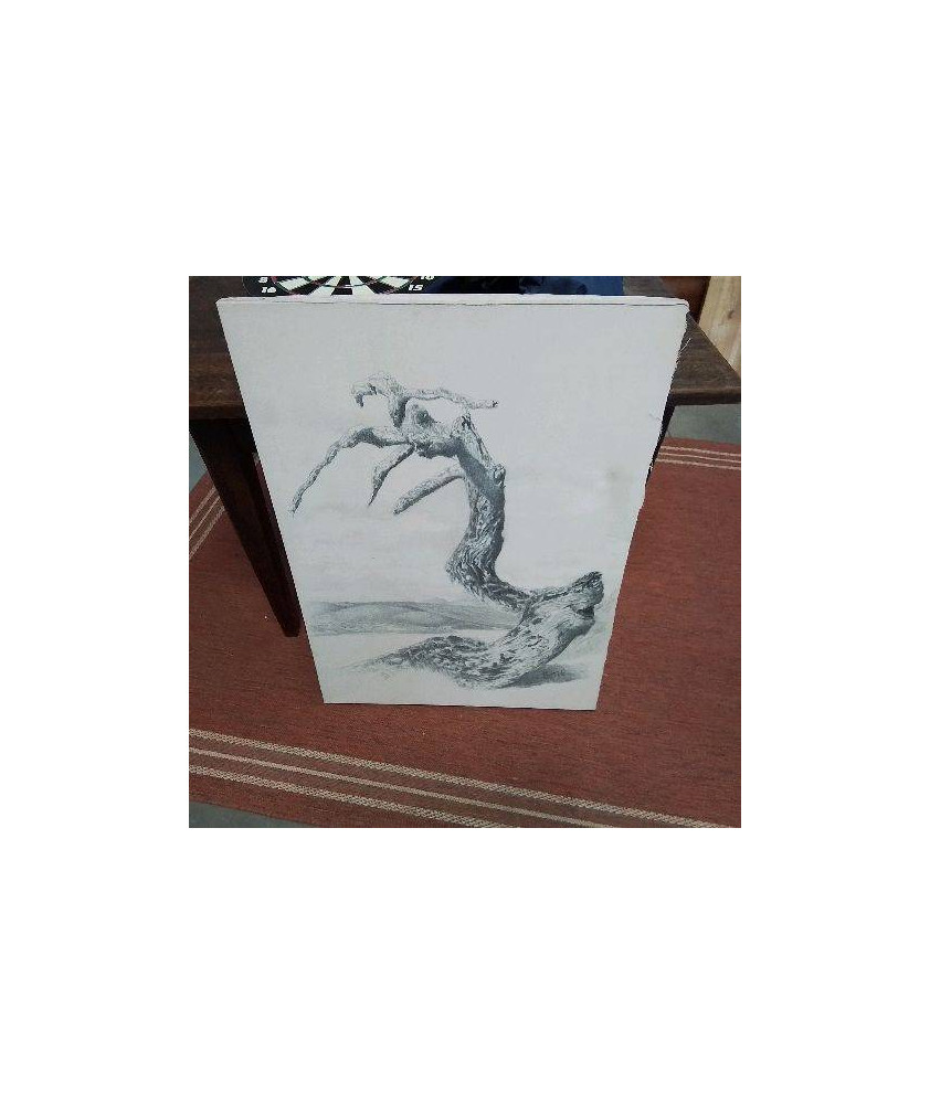 TOILE