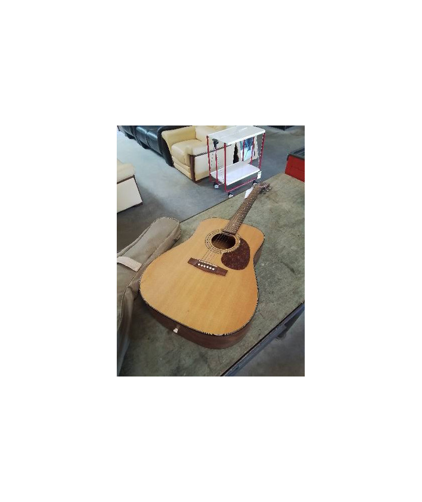 GUITARE ACOUSTIQUE CORT EARTH-60NS
