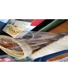 FLUTES X4 