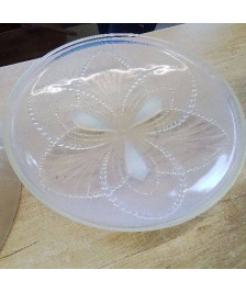 COUPE OPALESCENTE