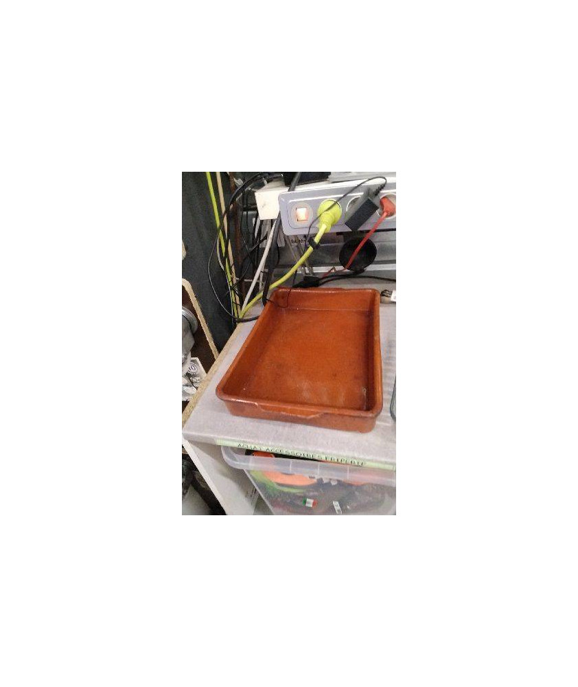 PLAT TERRE RECTANGLE GM