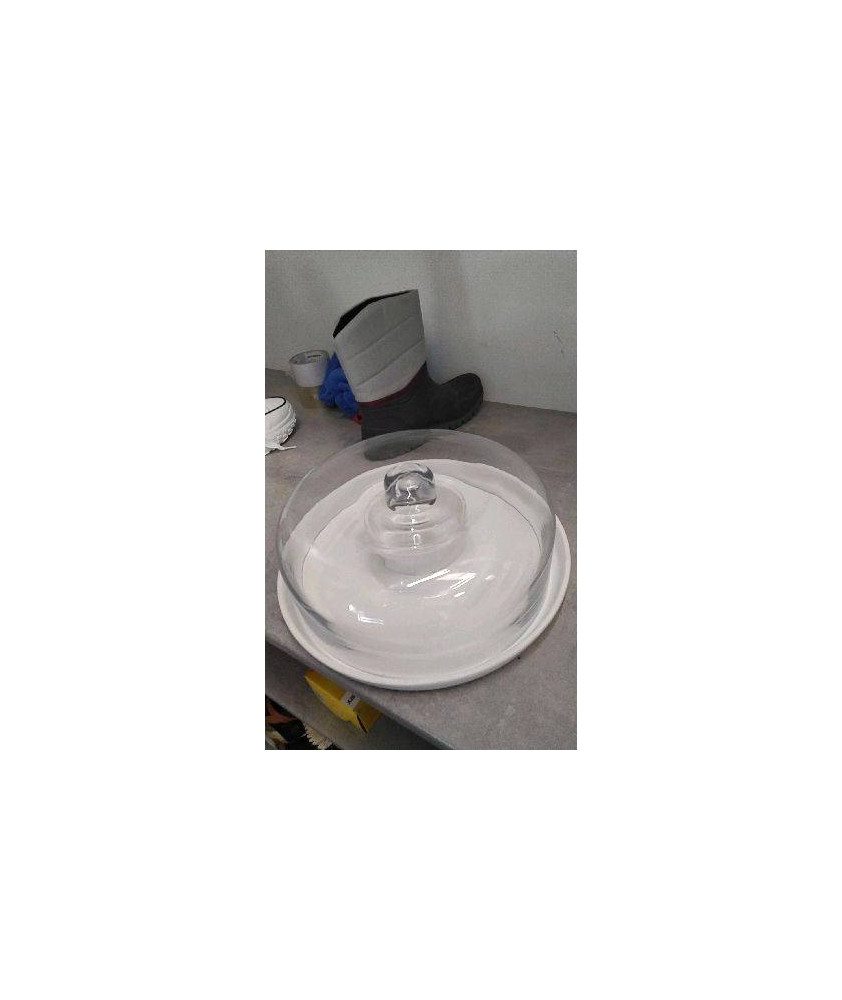 PLATEAU PORCELAINE/ CLOCHE VERRE 30CM - CYRIL LIGNAC