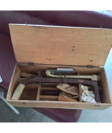 LANCEUR DISQUE BALLE TRAPPE 