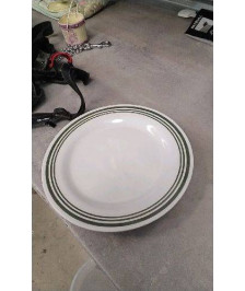 ASSIETTE PLASTIQUE LE LOT