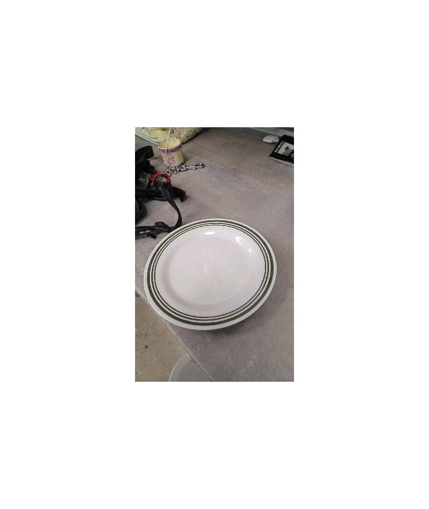 ASSIETTE PLASTIQUE LE LOT