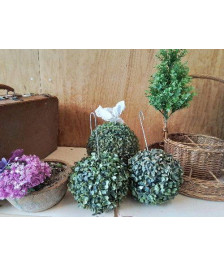 FAUSSE PLANTE BOULE 