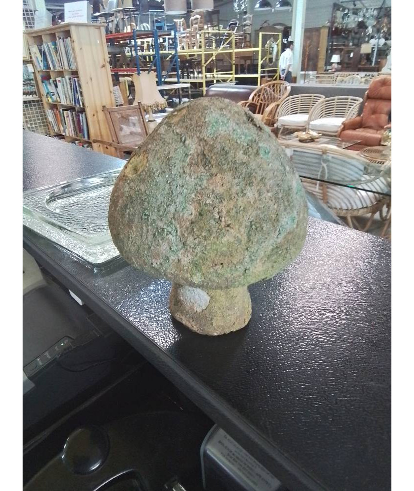 CHAMPIGNON DE JARDIN TERRE CUITE