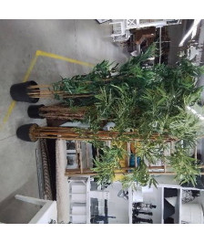 GRANDE PLANTE ARTIFICIELLE 