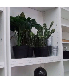 PLANTE ARTIFICIELLE MM