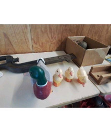 CANARD DECO