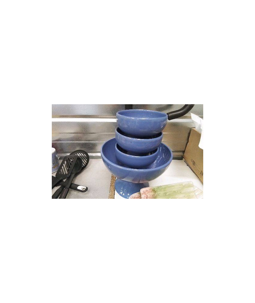 SERVICE A SALADE DE FRUITS BLEU 