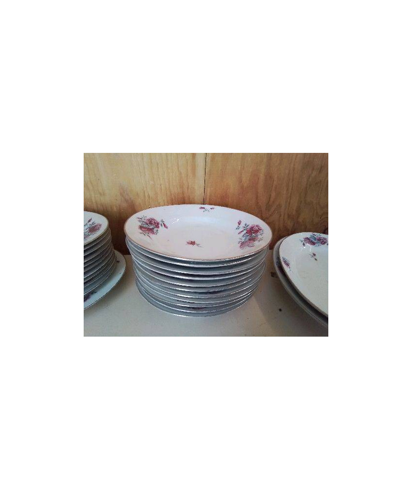 ASSIETTES CREUSE PORCELAINE MOTIF ROSE 