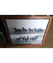 CADRE CHEVAUX