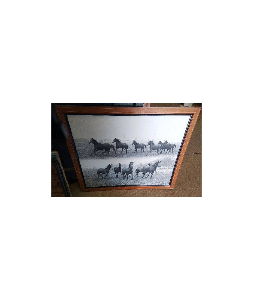 CADRE CHEVAUX