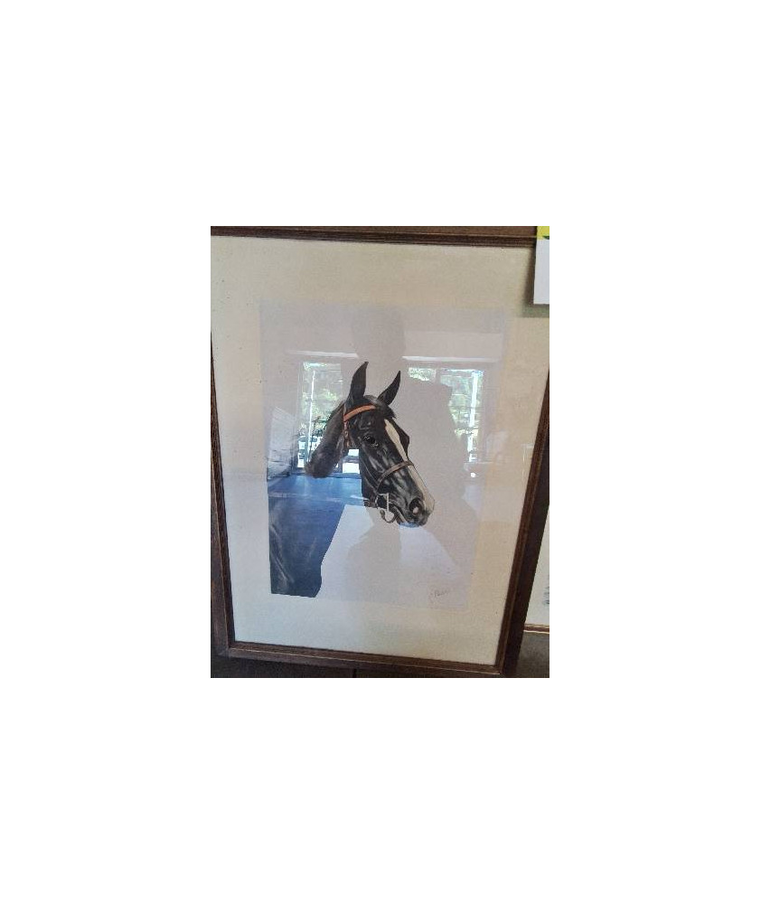 GOUACHE CHEVAL JEAN MARIE RIVET (XXE)
