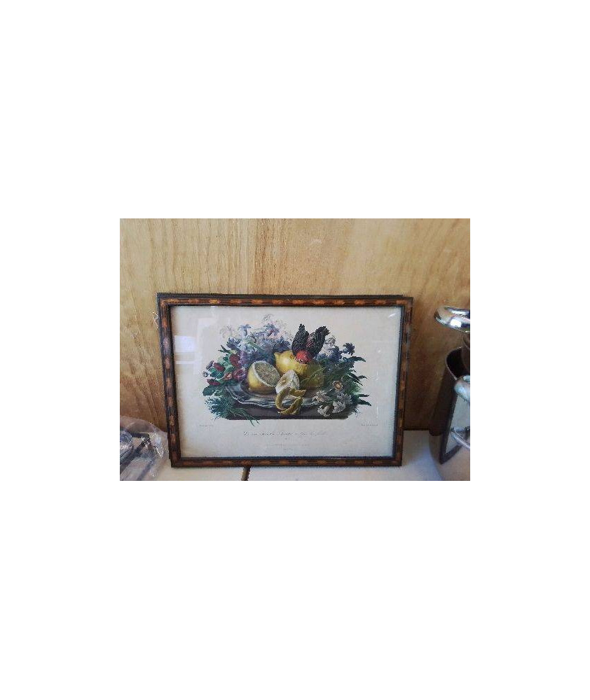 CADRE NATURE MORTE 