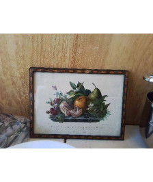 CADRE NATURE MORTE 