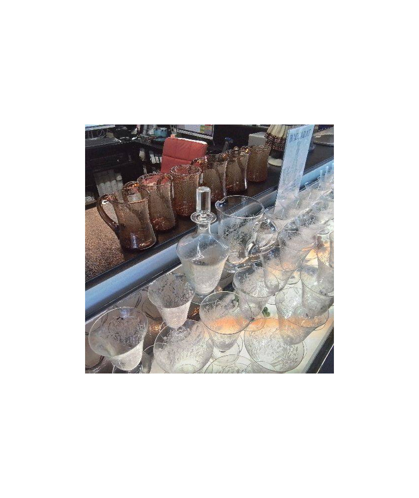 6 CHOPES BIOT
