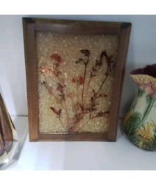 HERBIER RESINE 