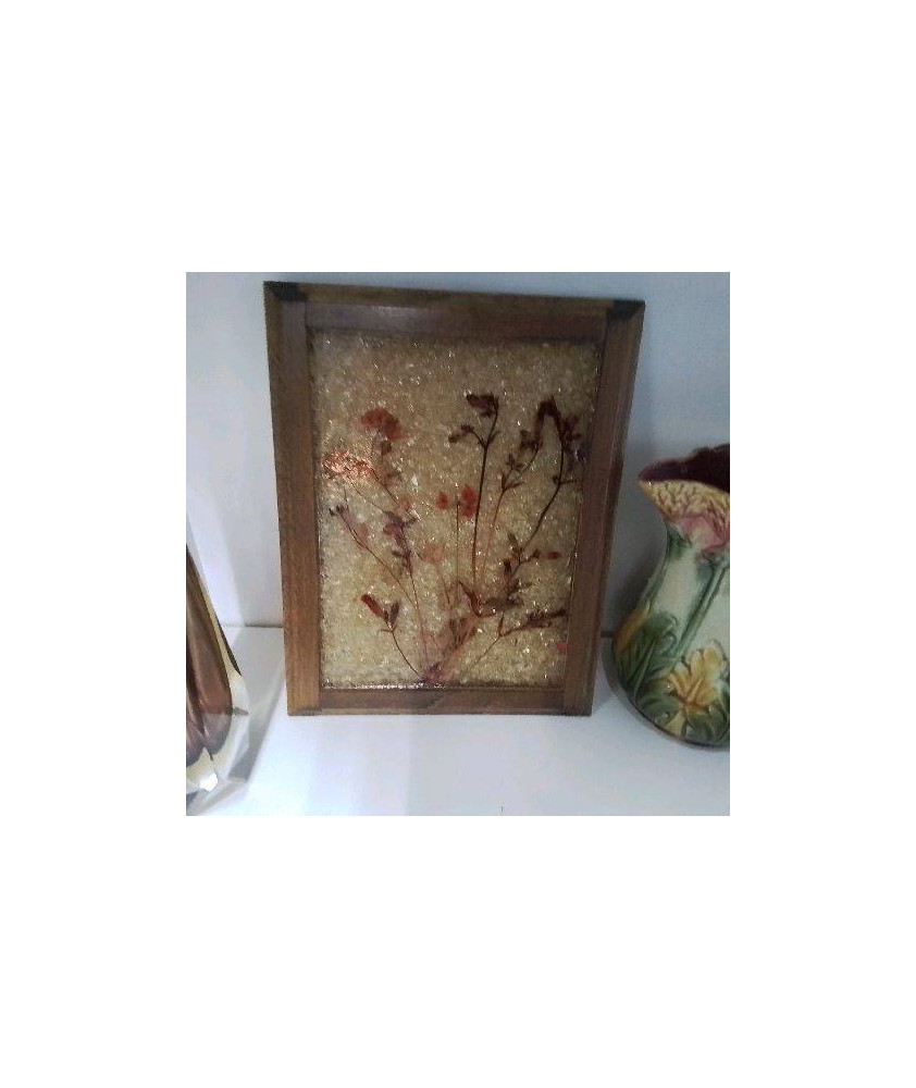 HERBIER RESINE 