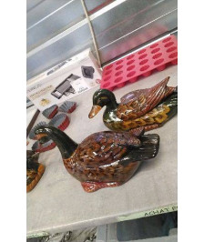 BOITE CANARD 