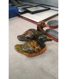 CANARD PM