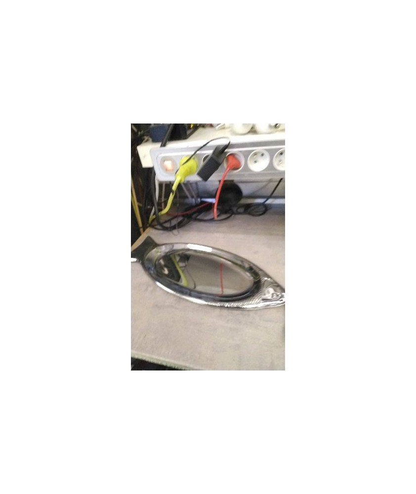 PLAT INOX POISSON 