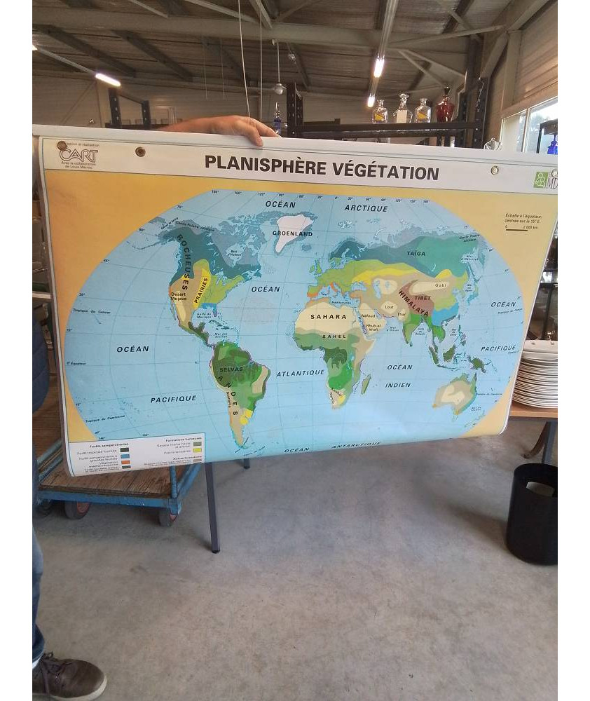 PLANISPHÈRE VEGETATION MDI EDITION 94