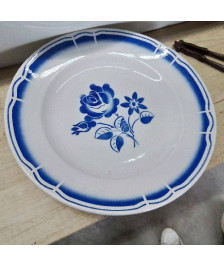 PLAT BLEU ET BLANC