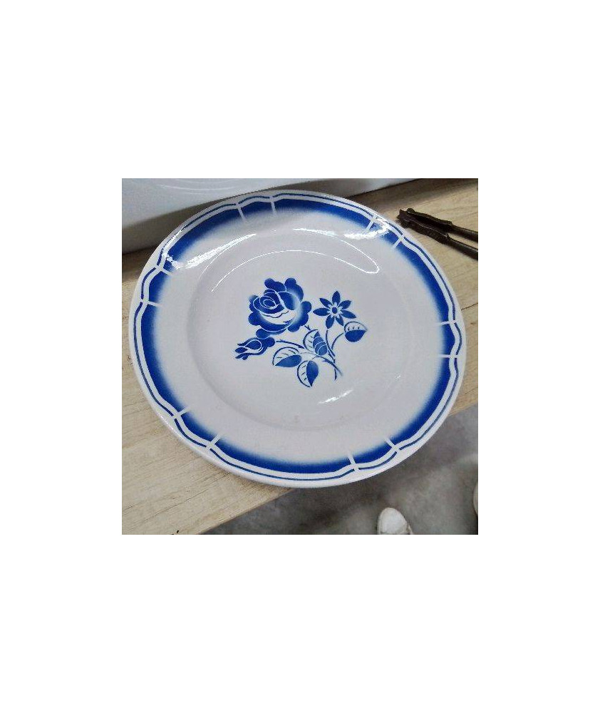 PLAT BLEU ET BLANC