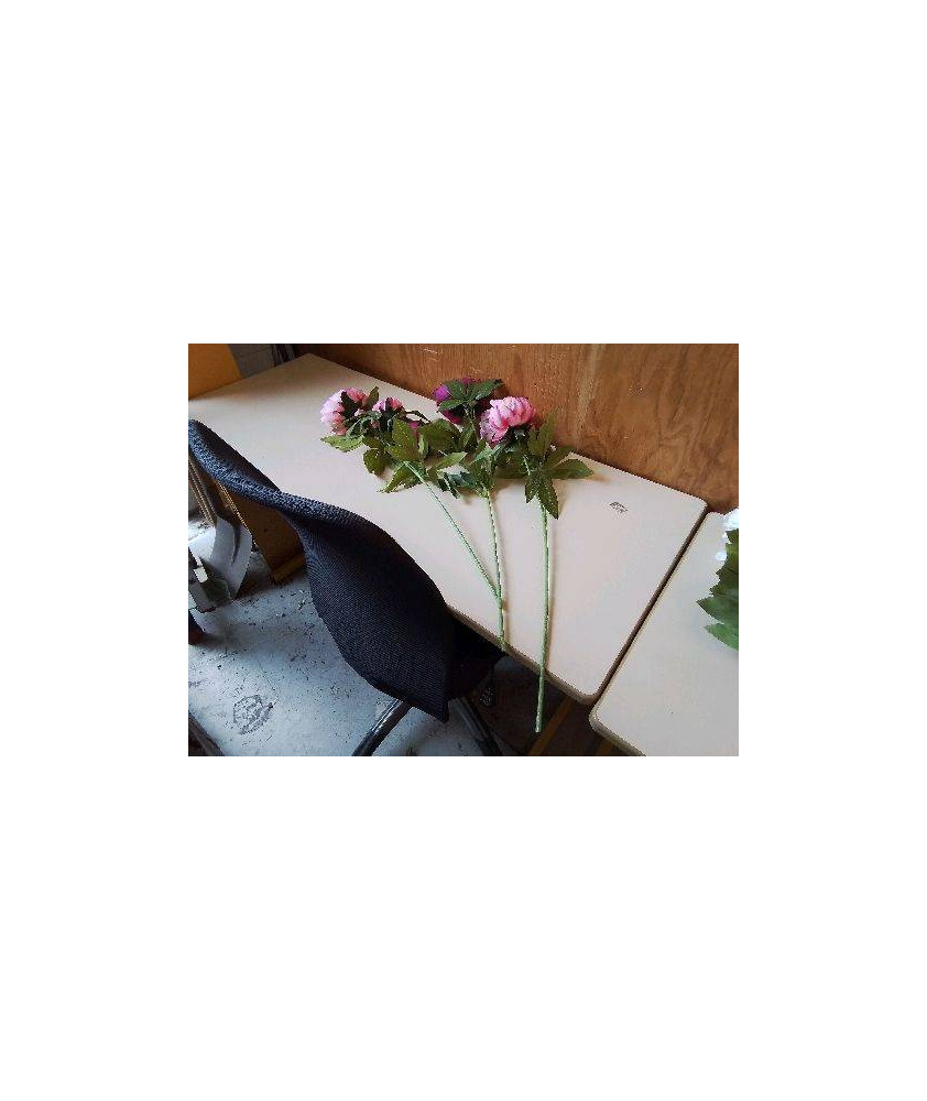 PIVOINE 