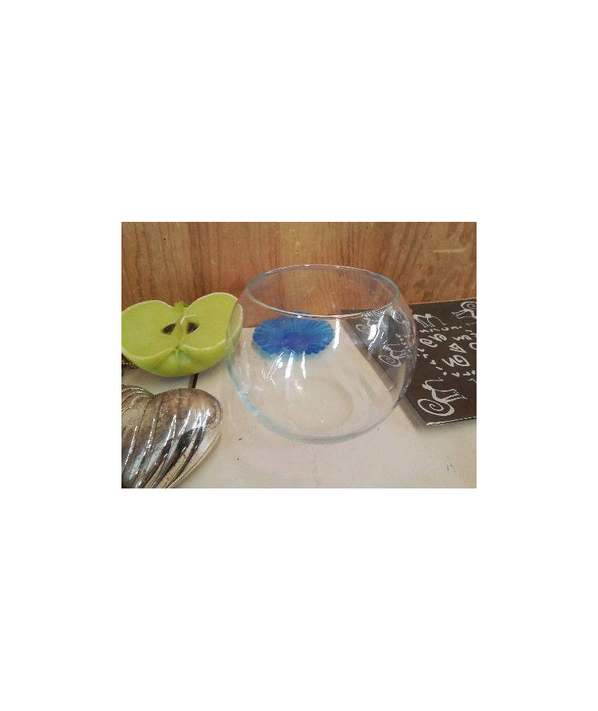 AQUARIUM 