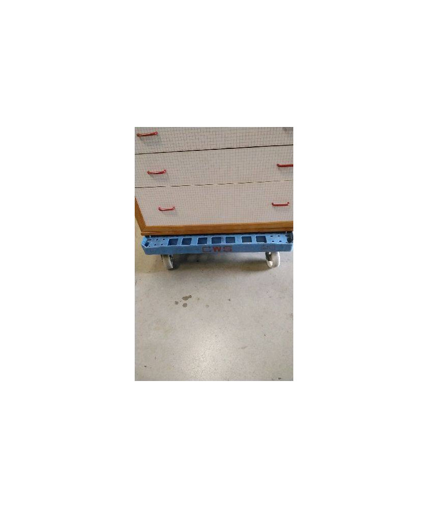 CHARIOT ROULETTES BLEUE - CWS ( 500KG MAX)