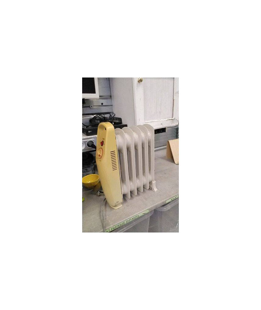 RADIATEUR BAIN D’HUILE PM 