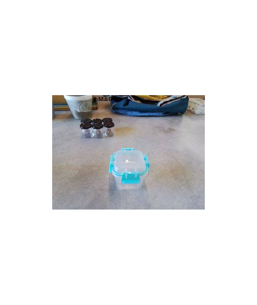 PETIT TUPPERWARE BLEU 