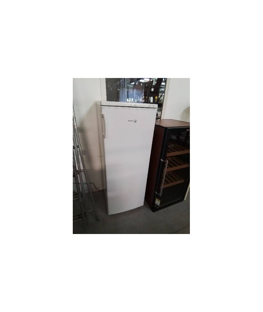 CONGÉLATEUR ARMOIRE FAGOR ZA1315 167L