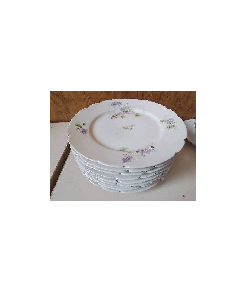 LOT DE 9 ASSIETTES EN PORCELAINE 