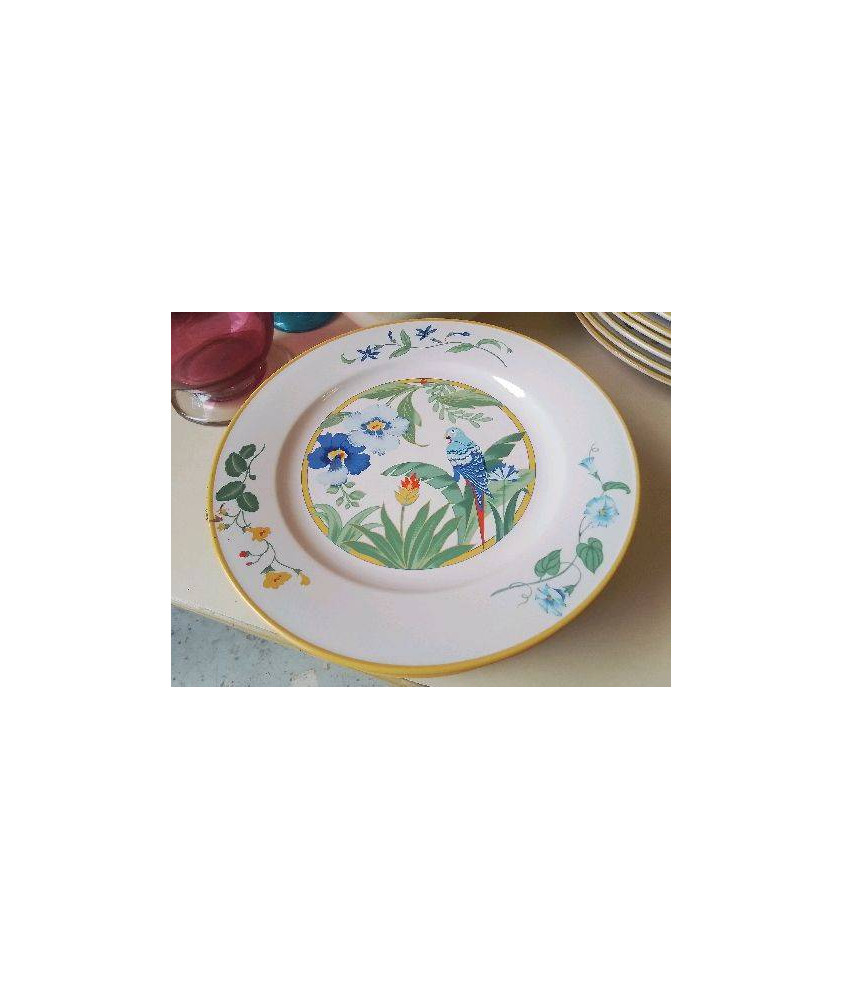 LOT DE 6 ASSIETTES DECORS PEROQUET