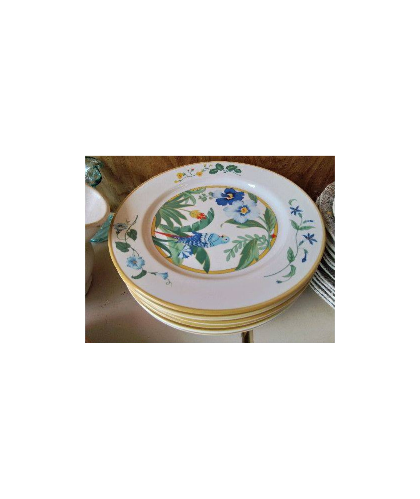 LOT DE 5 ASSIETTES DECORS PEROQUET