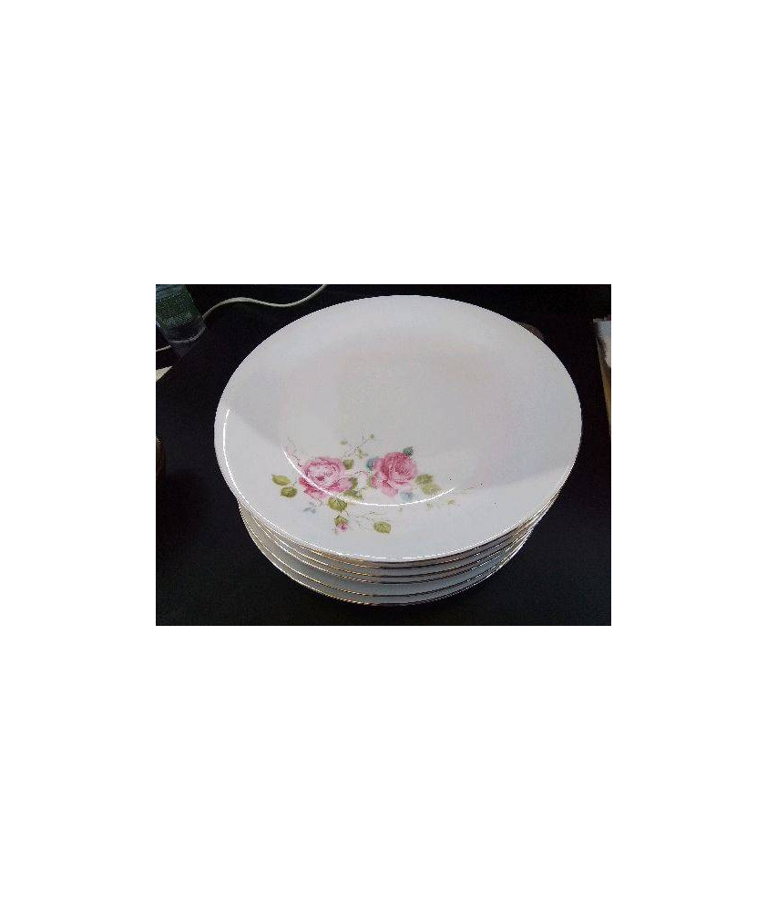 LOT DE 6 ASSIETTES EN PORCELAINE