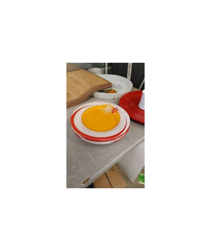 ASSIETTES VERRE