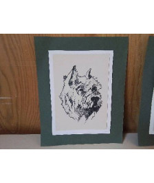 PORTRAIT DE CHIEN 