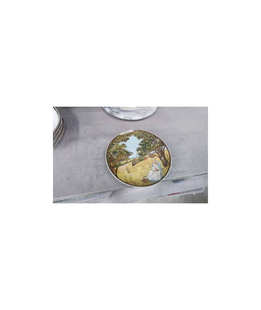 ASSIETTE DECO VILLEROY ET BOCH