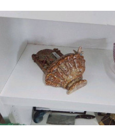 THERMOMÈTRE LIBELLULES