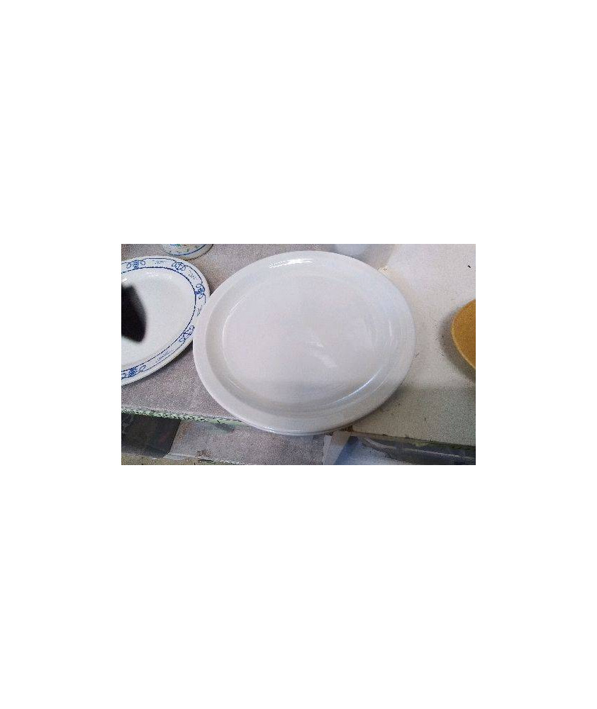ASSIETTES BLANCHES X2 