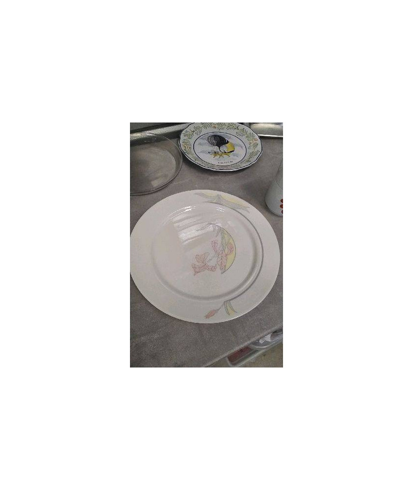 PLAT ARCOPAL