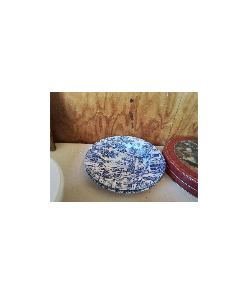DUO ASSIETTES BLEUN