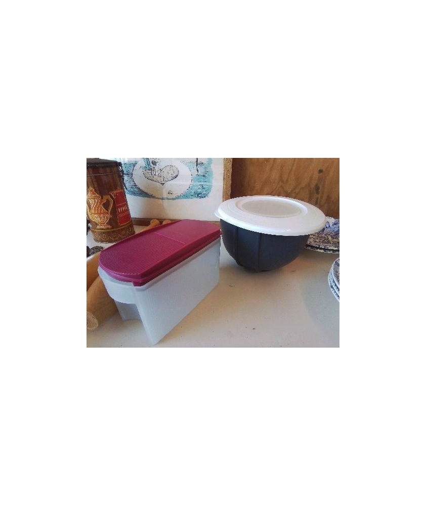  TUPPERWARE 